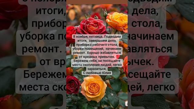 VID_20241108_101620_217.mp4
