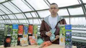 Саженцы. Как выбрать саженцы? Саженцы без почек-плохо ли это?