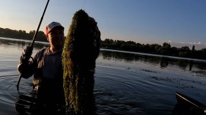 Рыбалка на амура и сазана на Дону!