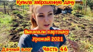 ВЫКАПАЛИ КАРТОШКУ/ПОСАДКА КЛУБНИКИ ОСЕНЬЮ/ВЫХОДНЫЕ НА ДАЧЕ/У МЕНЯ ПОЯВИЛСЯ УХАЖЕР