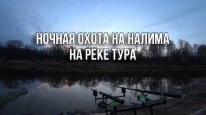 ОСЕННЯЯ ОХОТА НА НАЛИМА НА РЕКЕ ТУРА