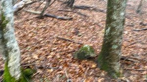 Коп в Крыму 2023 \ поиск монет с DEUS 2 на средневековом поселение в горах