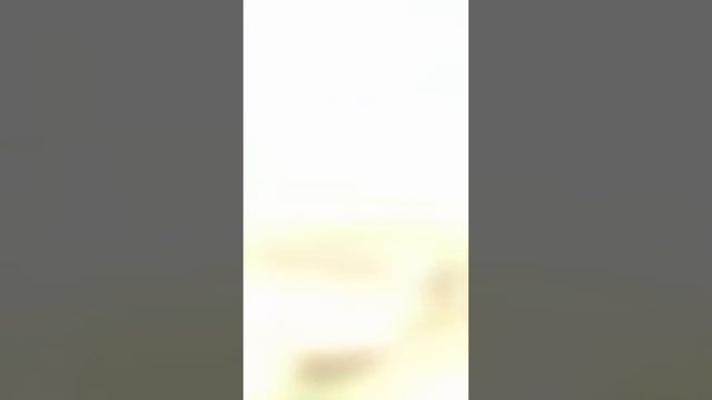 Места для посещения в Турции #турция #путешествия #отдыхвтурции смотреть онлайн