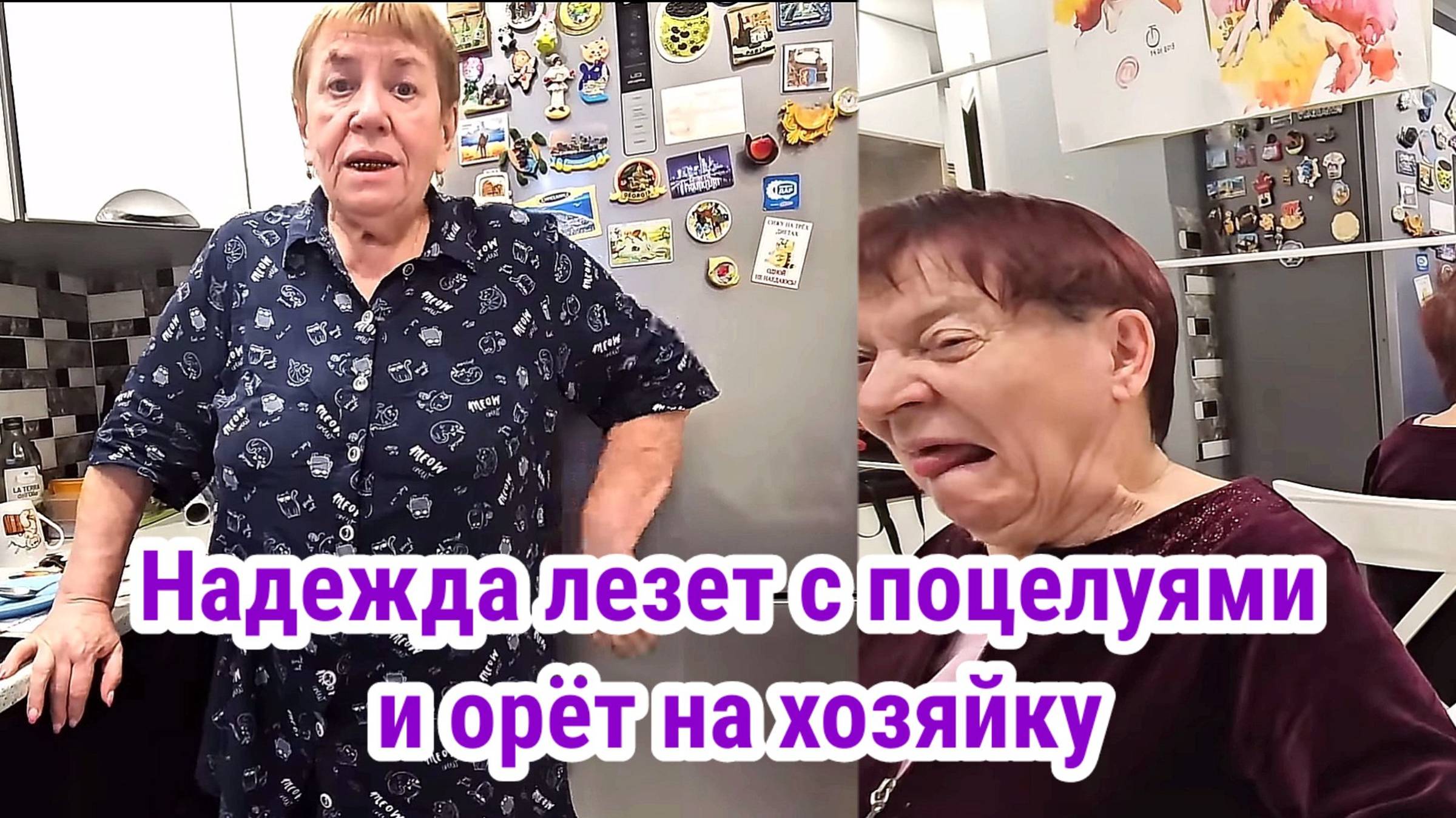 Поцелуй Надежды. Совсем обнаглела, орёт на хозяйку. Обзор