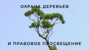 Охрана деревьев и правовое просвещение