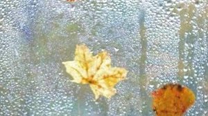 Интересный новый рассказ - Любовь вне границ...