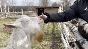 Квадро тур на ЭКО ферму в MDT MOTOPARK