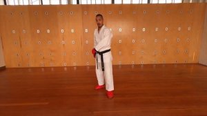 Джейсон Льюнг. Кумитэ стратегии и советы