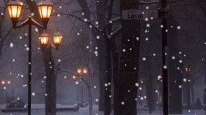 Зимний футаж. В зимнем парке фонари.