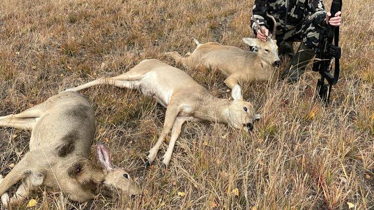 Охота на косулю. TG3 Lancaster 9.6х53 and Yukon Jaeger 3-9х40