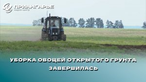 Уборка овощей открытого грунта завершилась в Приангарье