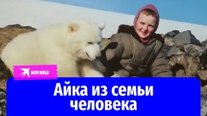 Своя среди чужих: судьба домашней медведицы