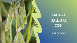 Часть 4. Защита сои | Пять вечеров PRO.СОЮ