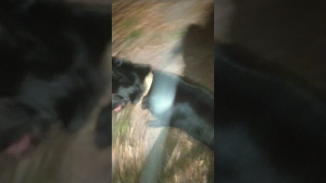 VID-20241107-WA0018.mp4 смотреть онлайн