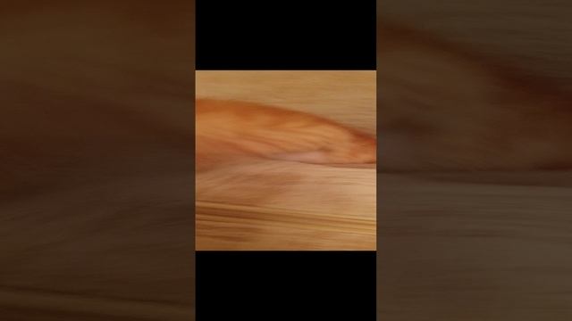 знакомство с собой и с обстоятельствами