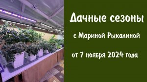 Дачные сезоны с Мариной Рыкалиной от 7 ноября 2024 года