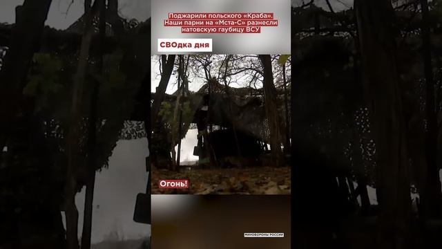 Поджарили польского «Краба». Наши парни на «Мста-С» разнесли натовскую гаубицу ВСУ