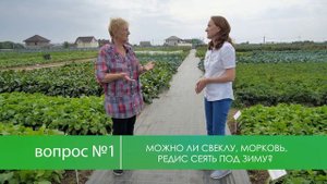 Корнеплоды. Посадка и уход за корнеплодами. Выращивание моркови, свеклы, редиса.