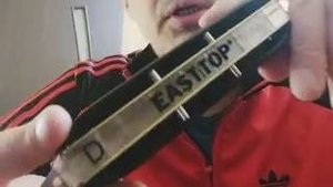 Низкая хроматическая гармошка Easttop Forerunner (D). Демка звучания и пример игры.