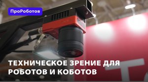 Техническое зрение для роботов и коботов