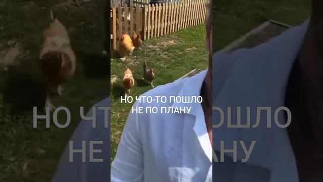 Грядки из ДПК Казань, Челны, Ижевск, Уфа, Самара, Ульяновск, Пермь, Оренбург, Сочи, Киров и др. #дпк