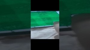 1000011427.mp4