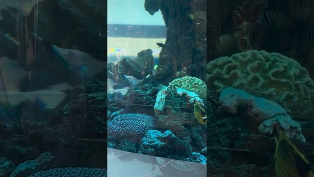 Мастерята. Компетенция Дизайн модной одежды и аксессуаров