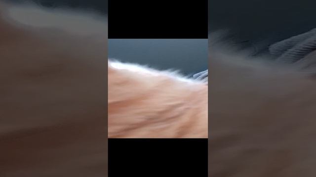 для хейтеров