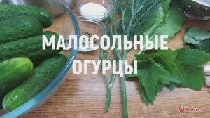 Малосольные огурцы - простой быстрый рецепт вкусных малосольных огурцов