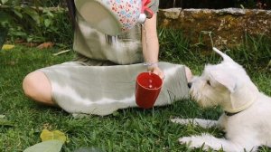 4459605-hd_1906_1080_18fps