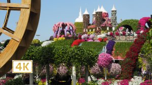 Дубай, сад цветов Miracle Garden (Сад Чудес)