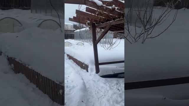 ❄️«Готовь сани летом, а ТЕПЛИЦУ зимой». #shorts #теплица