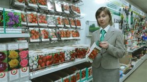 Рассада земляники (клубники). Новинки сезона 2020.