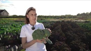 Капуста: белокочанная, брокколи, цветная, кольраби. Ассортимент.