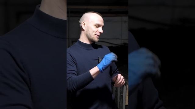100% поймаешь рыбу с помощью этой приманки Безумный клёв карася #черви #приманкадлярыбы #бешеныйклёв