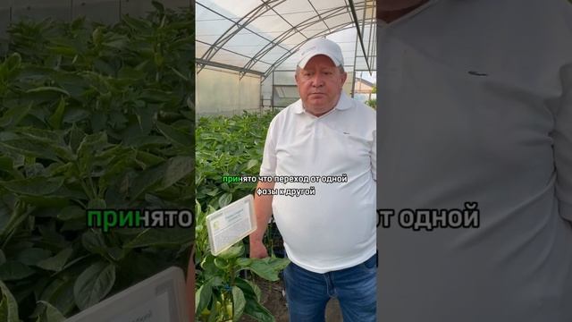 Лунный посевной календарь. Как работает лунный календарь.