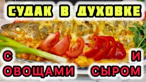 Судак в духовке с овощами и сыром. Как вкусно приготовить судака в домашних условиях