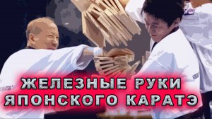 Железные руки японского каратэ(юмор)