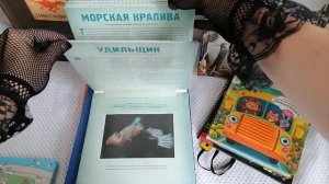 классификация занимательных книг