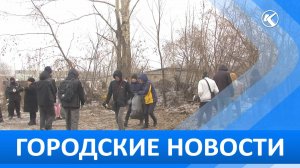 Городские новости 8 ноября 2024