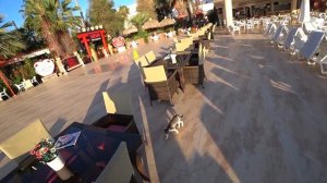 Club Hotel Sera 5*, Турция, Анталия, Лара. Обзор отеля