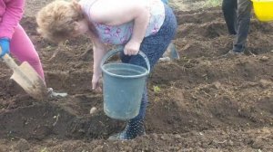 #садимкартошкуподмотоблок #нарезаембороздымотоблоком