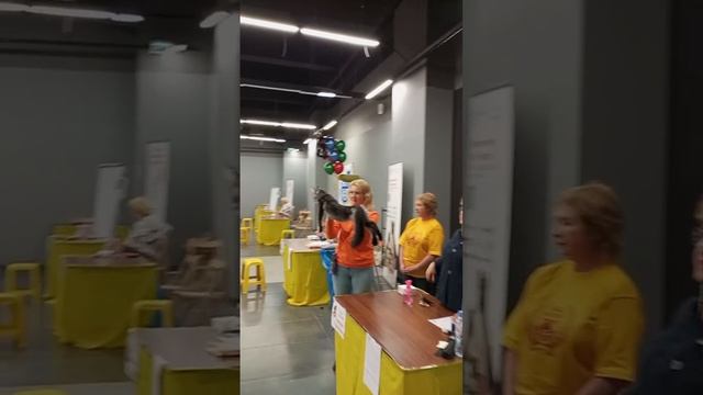 GranatWCF3 cats kittens mainecoon кошки