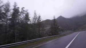 Дорога домой