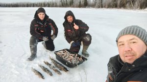 Вот и первые окуньки этого сезона. Подлёдная рыбалка на окуня