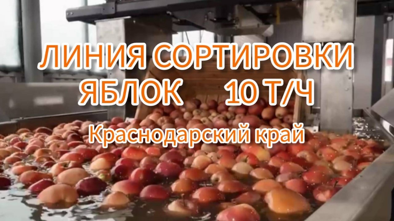 Линия для сортировки яблок (10т/ч). Краснодарский край