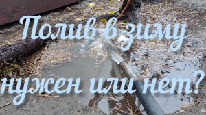 Влагозарядный полив виноградника осенью - залог будущего урожая