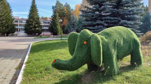 Чебаркульский санаторий