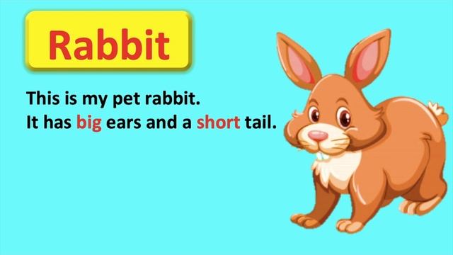 Using Adjectives to describe pets 😸 смотреть онлайн