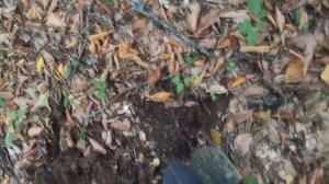 Коп в Крыму 2022 / створка энколпиона / средневековые находки и империя